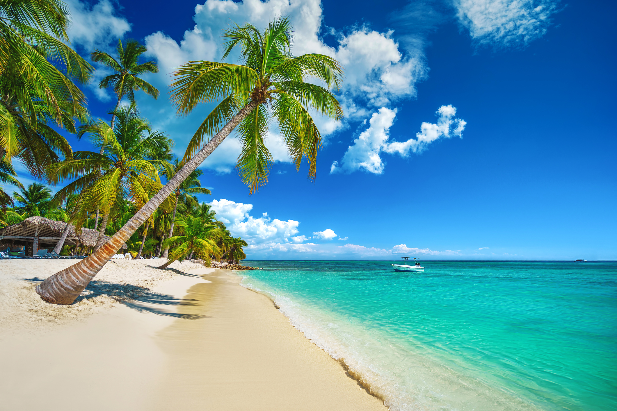 Travesia Caribeña, Punta Cana con Crucero