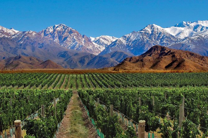 Mendoza, Cachueta y San Rafael - Octubre a Diciembre 2026
