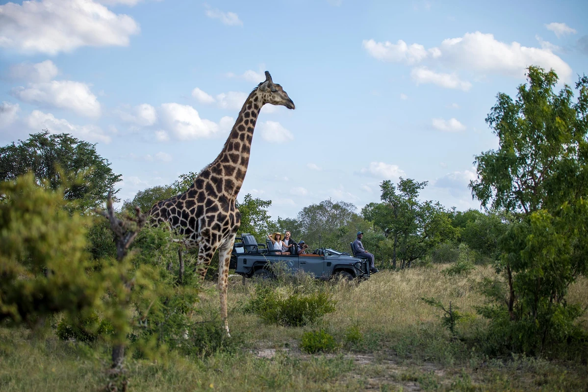 SUDAFRICA ESENCIAL